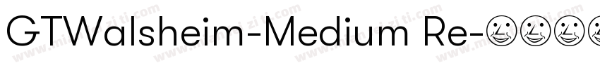 GTWalsheim-Medium Re字体转换